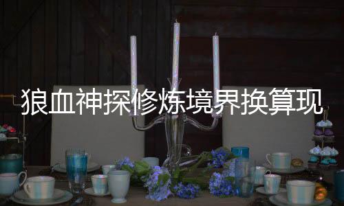 狼血神探修炼境界换算现实战力对照表