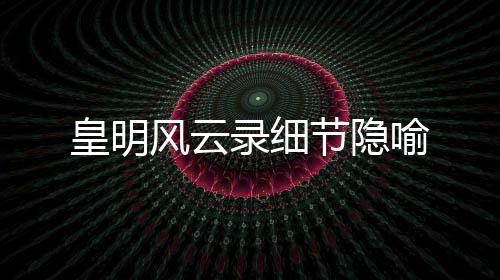 皇明风云录细节隐喻