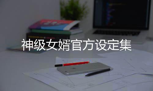 神级女婿官方设定集