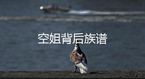 空姐背后族谱
