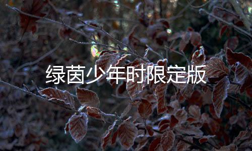 绿茵少年时限定版