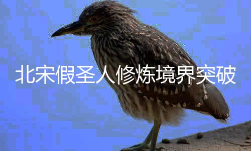 北宋假圣人修炼境界突破条件汇总