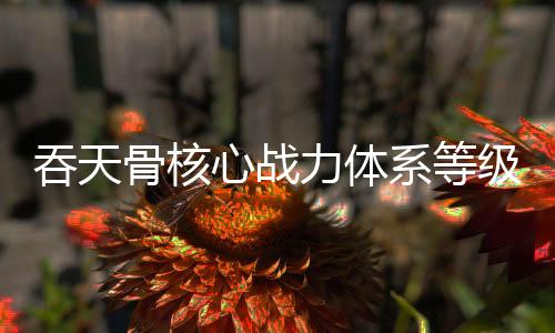吞天骨核心战力体系等级对照表