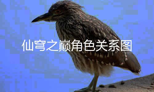 仙穹之巅角色关系图
