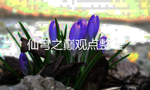 仙穹之巅观点整理
