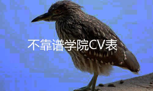 不靠谱学院CV表