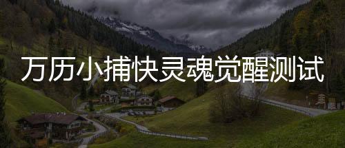 万历小捕快灵魂觉醒测试（生成专属武魂）