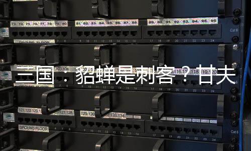 三国：貂蝉是刺客？甘夫人要帮忙？剧情选择分支影响模拟器
