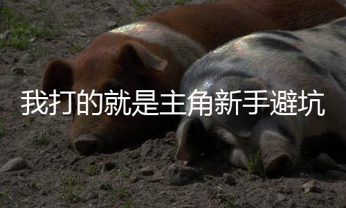 我打的就是主角新手避坑指南+毒点预警