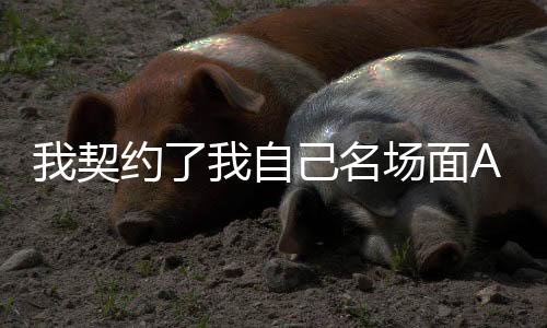 我契约了我自己名场面AI绘画风格迁移教程