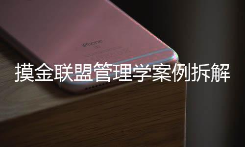 摸金联盟管理学案例拆解实训