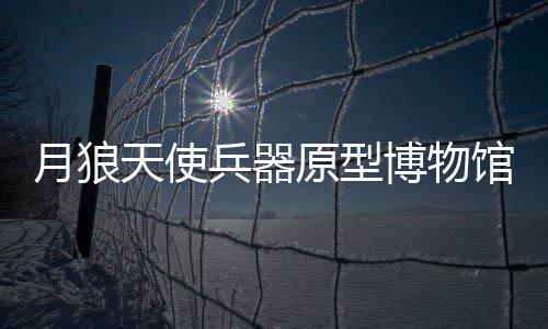 月狼天使兵器原型博物馆藏追踪