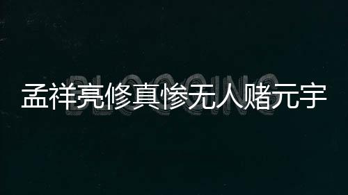 孟祥亮修真惨无人赌元宇宙虚拟场景建设进度报告