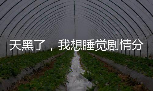 天黑了，我想睡觉剧情分支选择互动攻略地图
