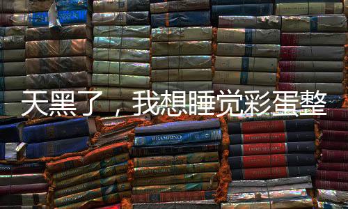 天黑了，我想睡觉彩蛋整理