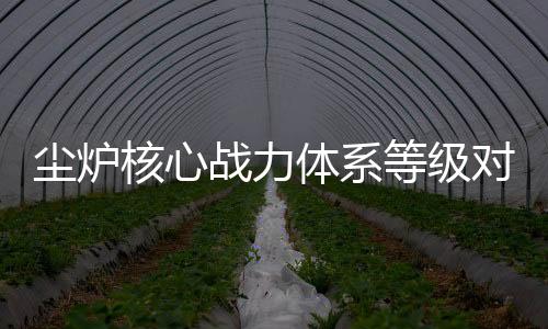 尘炉核心战力体系等级对照表