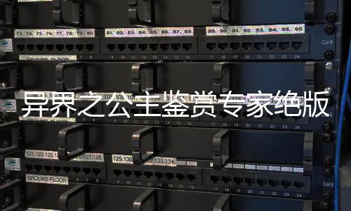 异界之公主鉴赏专家绝版书