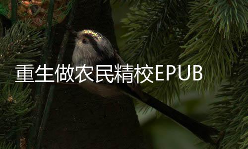 重生做农民精校EPUB/MOBI电子书格式大全