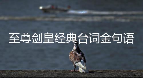 至尊剑皇经典台词金句语录文档下载