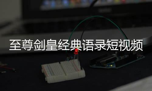 至尊剑皇经典语录短视频文案模板库