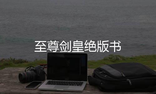 至尊剑皇绝版书