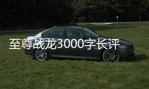 至尊战龙3000字长评热词云图分析