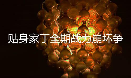 贴身家丁全期战力崩坏争议点分析