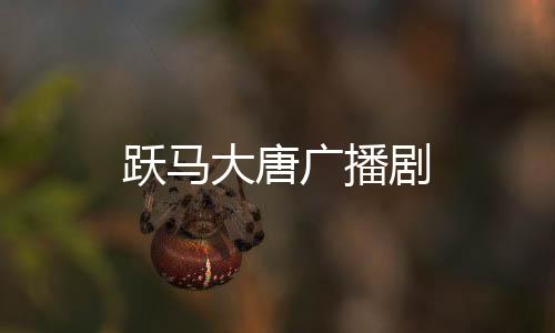 跃马大唐广播剧