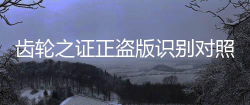 齿轮之证正盗版识别对照图鉴