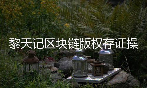 黎天记区块链版权存证操作指南